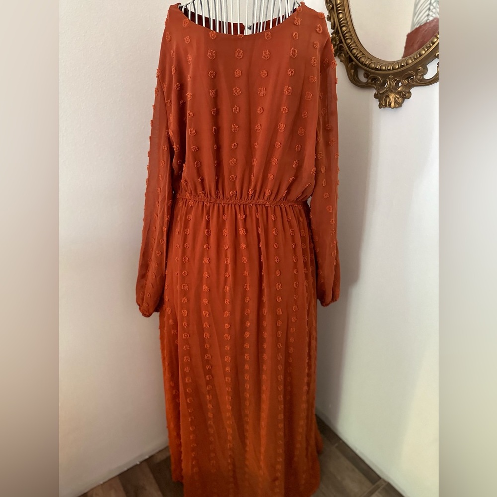 Rust Swiss dot dress - Picture 1 of 3